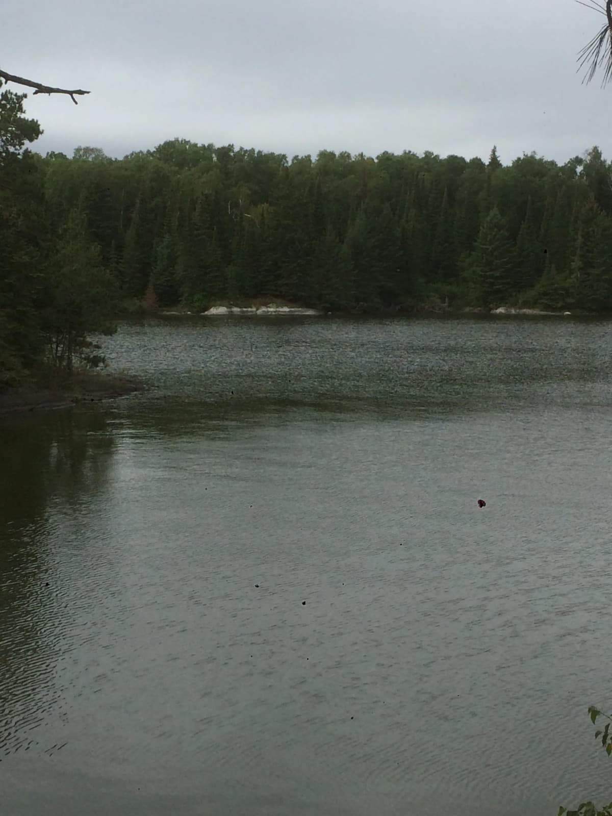 Half-Day Guided Trip